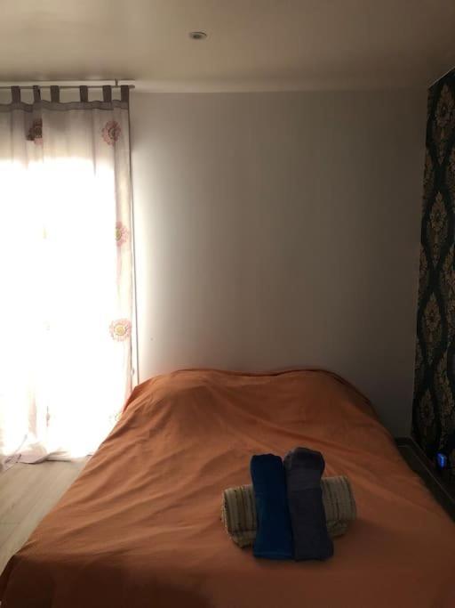 Logement Entier Entree Autonome Ch,Sdd,Cs Privatives Aussonne Exterior foto